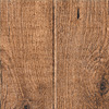 37362 Kiefer "Andalusia"
