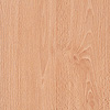 3336 beech "Lucca"