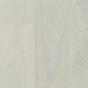 3474 beech "Dachstein"