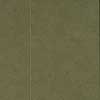 37202 green "Atrium" groove 1.5 mm