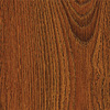 37346 oak "Extremadura"