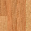 37404 beech "Piemont"