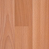 37416 beech "Verdune"