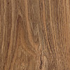 37492 chestnut "Bozen"