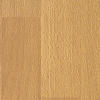 3765 beech "Mühlbach"