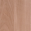 3977 apple "Treviso"